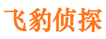 连平外遇调查取证